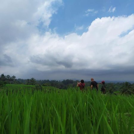 Tegal Jero Homestay Джатилувих Экстерьер фото