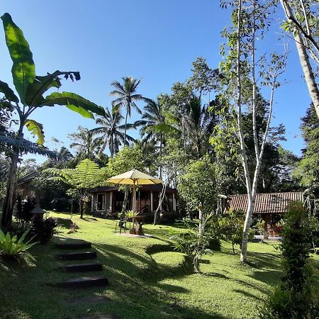 Tegal Jero Homestay Джатилувих Экстерьер фото