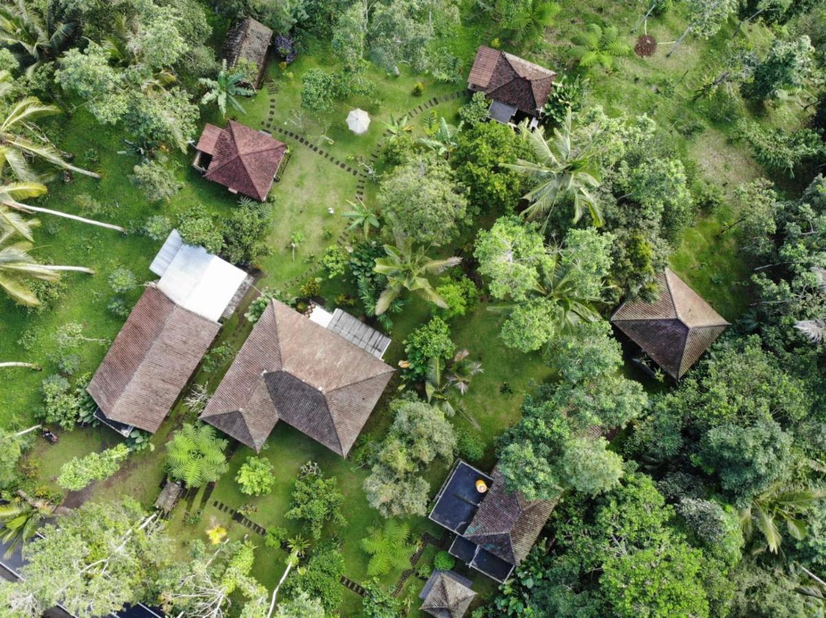 Tegal Jero Homestay Джатилувих Экстерьер фото