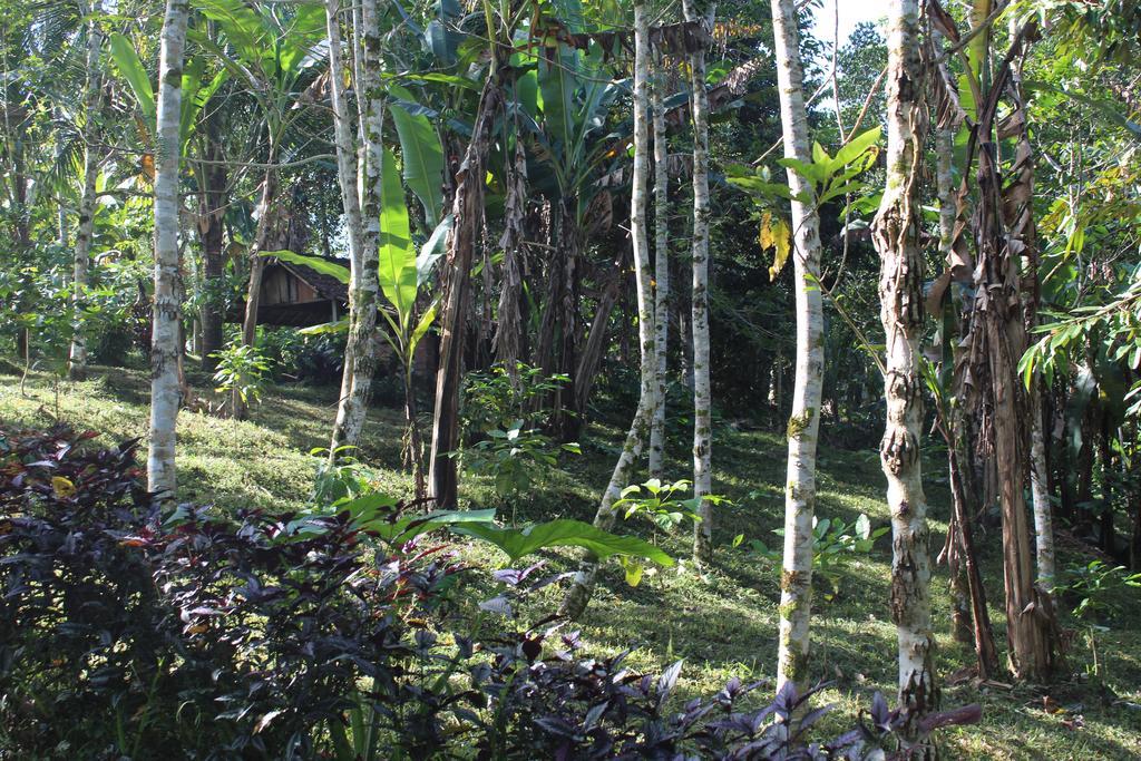 Tegal Jero Homestay Джатилувих Экстерьер фото