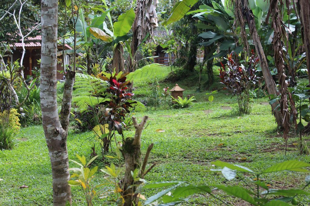 Tegal Jero Homestay Джатилувих Экстерьер фото