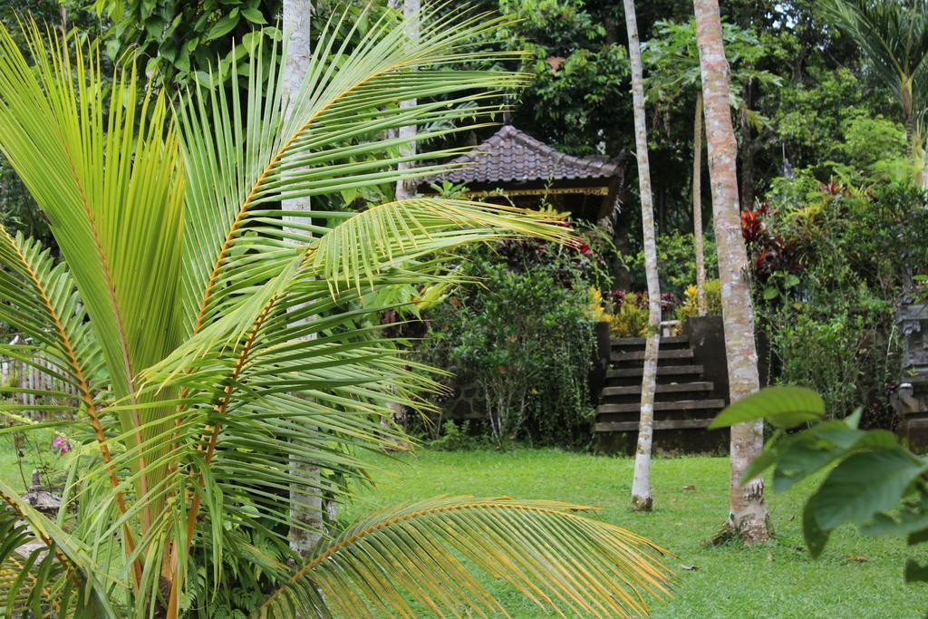 Tegal Jero Homestay Джатилувих Экстерьер фото