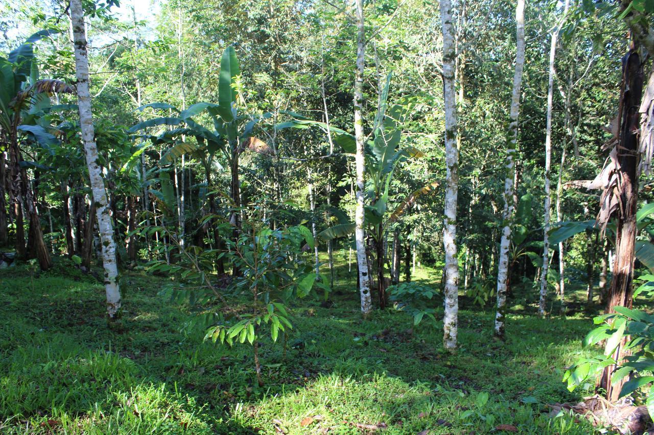 Tegal Jero Homestay Джатилувих Экстерьер фото