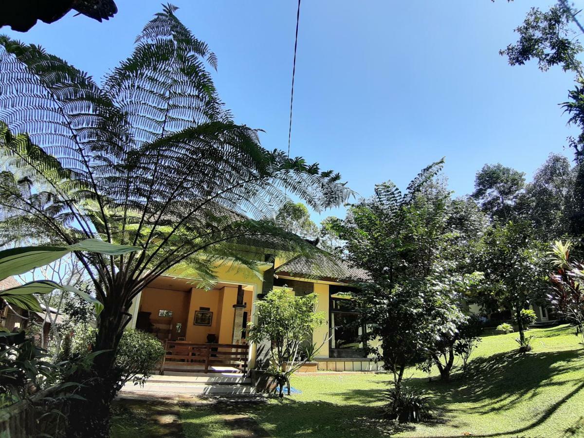 Tegal Jero Homestay Джатилувих Экстерьер фото