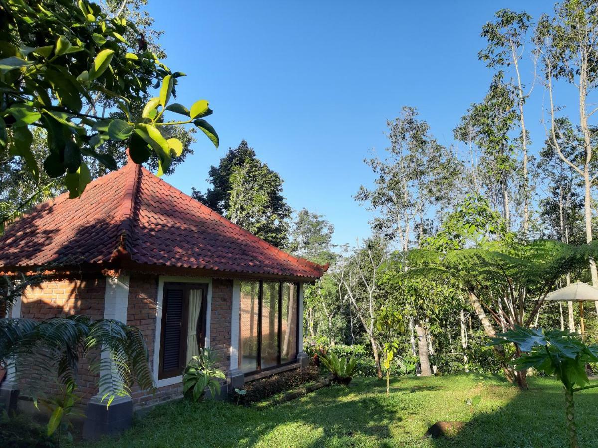 Tegal Jero Homestay Джатилувих Экстерьер фото