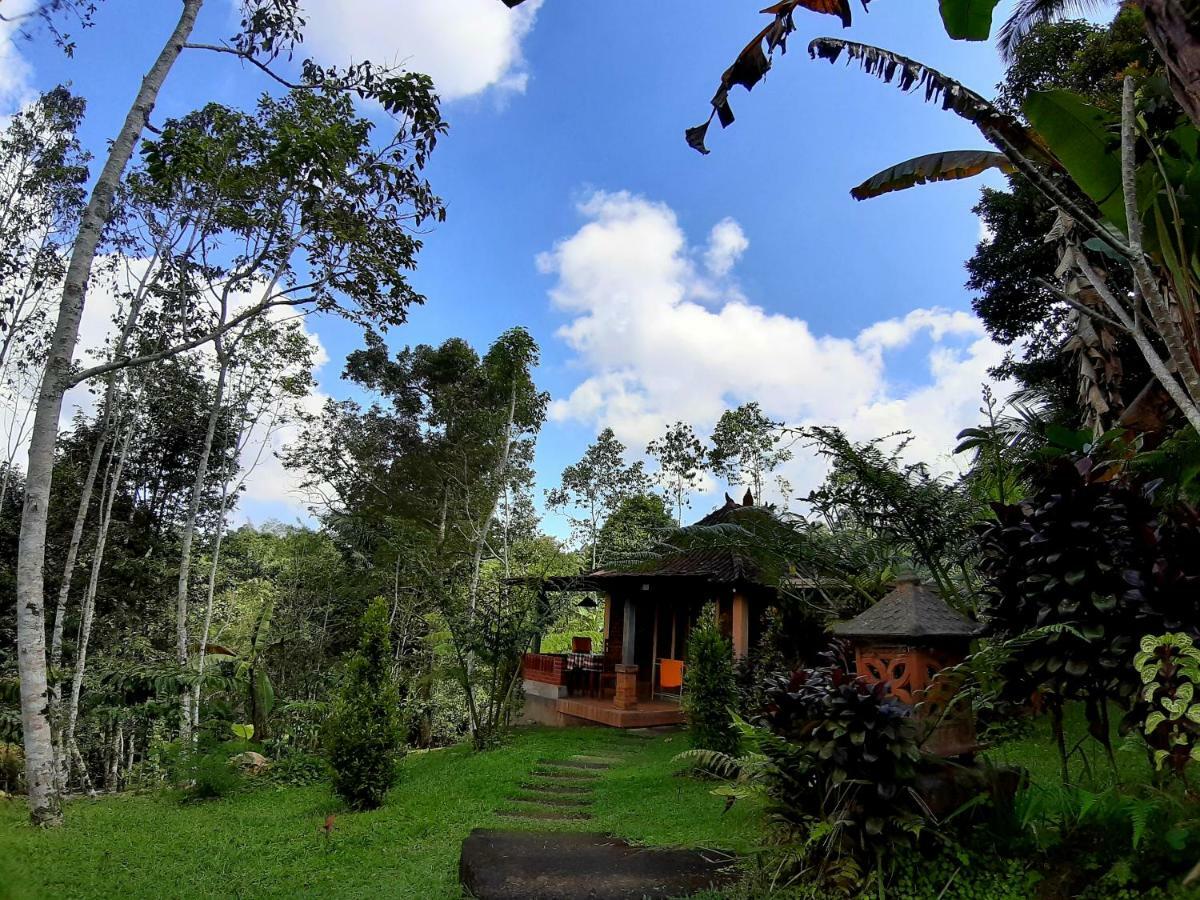 Tegal Jero Homestay Джатилувих Экстерьер фото
