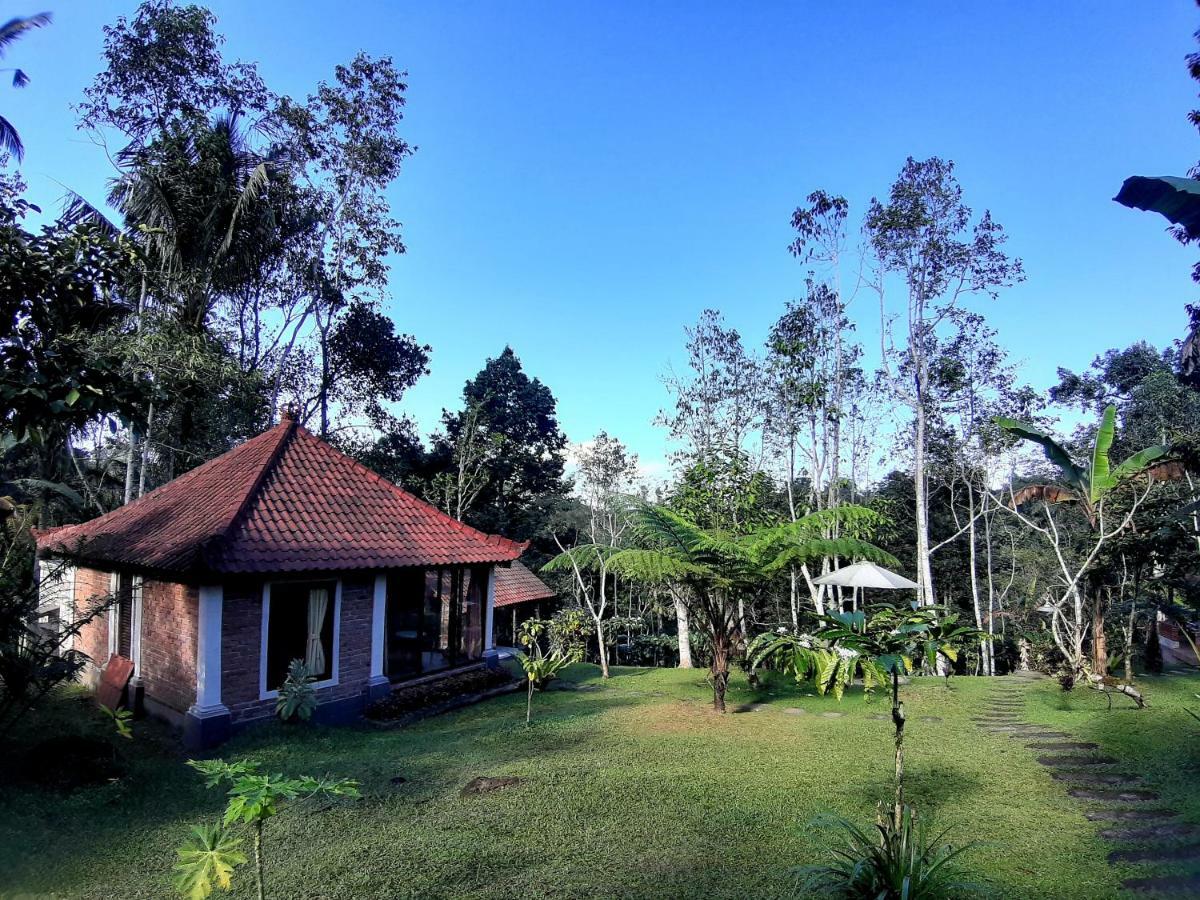 Tegal Jero Homestay Джатилувих Экстерьер фото